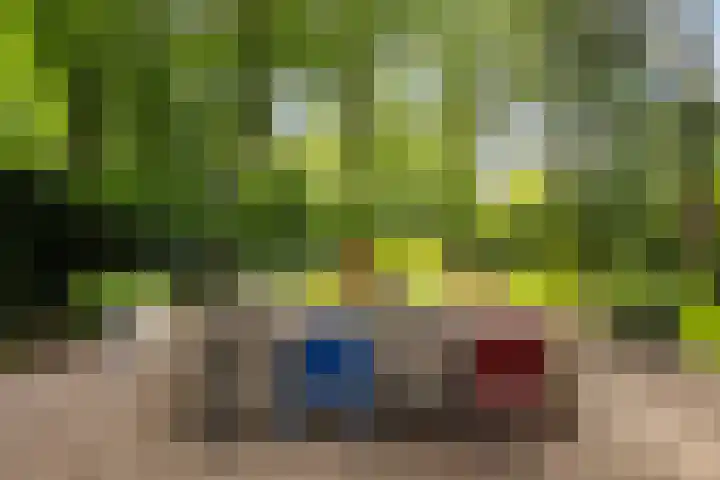 Julianalaan 182 Bilthoven thumbnail 35