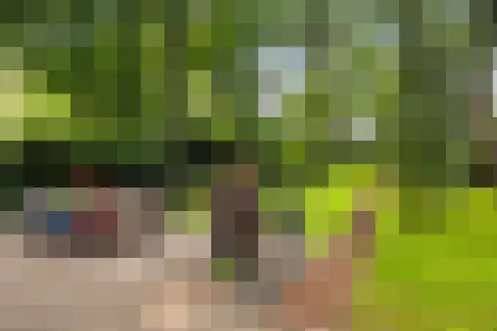 Julianalaan 182 Bilthoven thumbnail 36