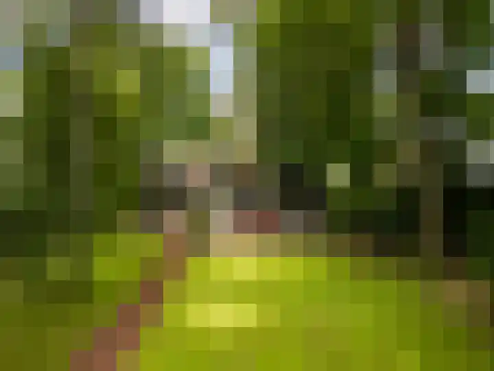 Julianalaan 182 Bilthoven thumbnail 38