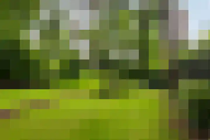 Julianalaan 182 Bilthoven thumbnail 39