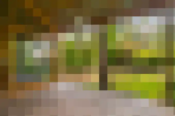 Julianalaan 182 Bilthoven thumbnail 43