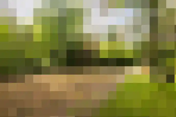 Julianalaan 182 Bilthoven thumbnail 49