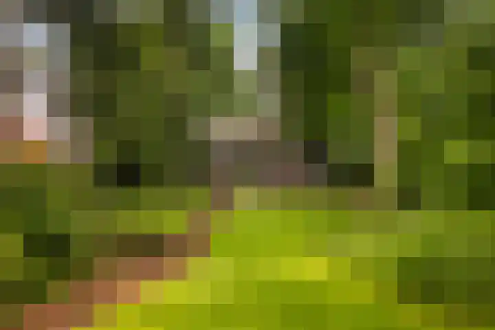 Julianalaan 182 Bilthoven thumbnail 52