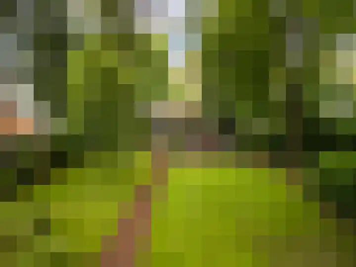 Julianalaan 182 Bilthoven thumbnail 55