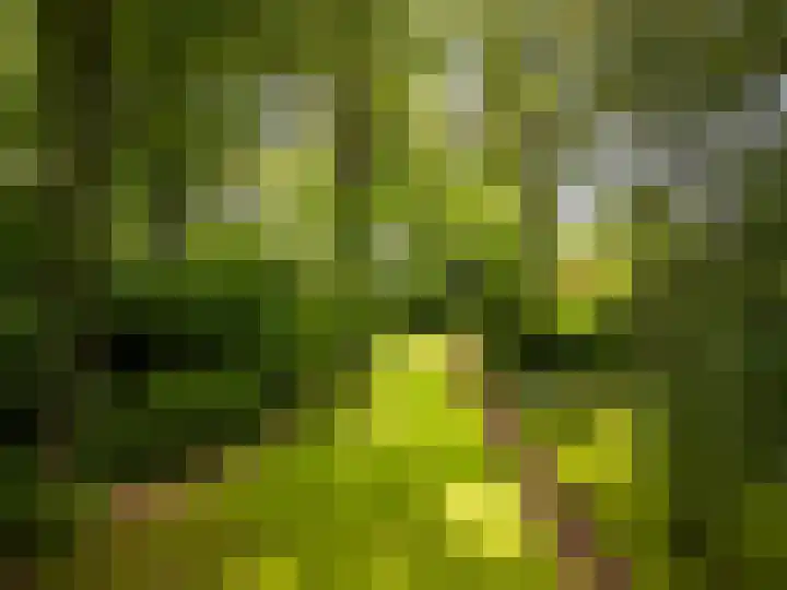 Julianalaan 182 Bilthoven thumbnail 56