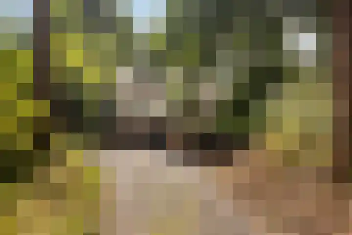 Julianalaan 182 Bilthoven thumbnail 58