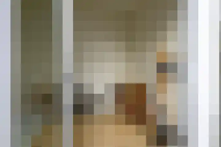 Julianalaan 23 Delft thumbnail 16