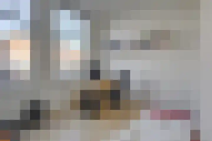 Julianalaan 23 Delft thumbnail 18