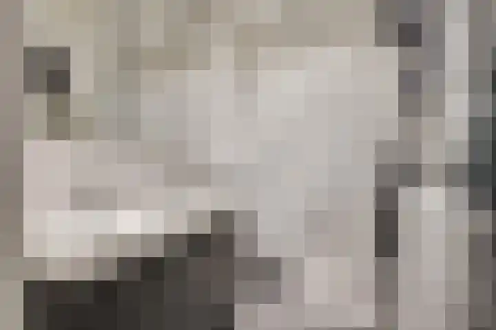 Julianalaan 23 Delft thumbnail 20