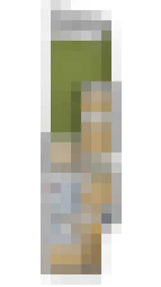 Julianalaan 23 Delft thumbnail 35