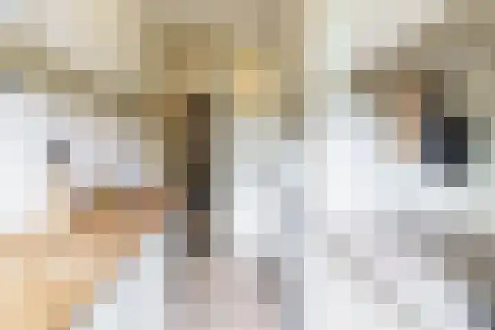 Julianalaan 28 Delft thumbnail 20
