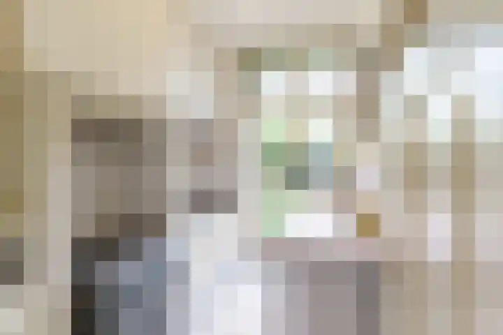 Julianalaan 28 Delft thumbnail 21