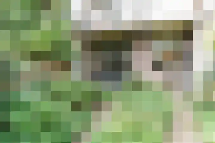 Julianalaan 28 Delft thumbnail 22