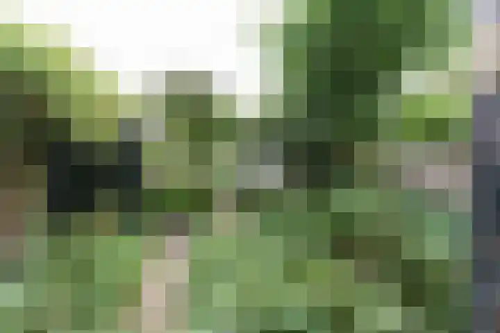 Julianalaan 28 Delft thumbnail 23