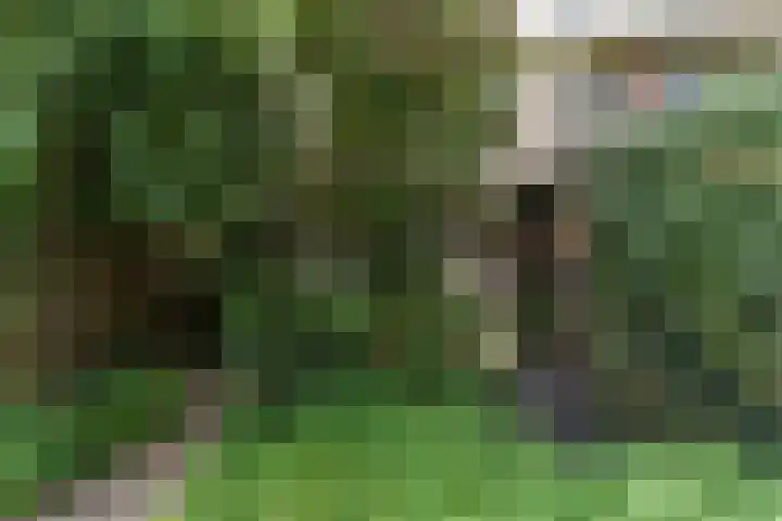 Julianalaan 28 Delft thumbnail 24
