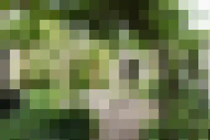 Julianalaan 28 Delft thumbnail 25