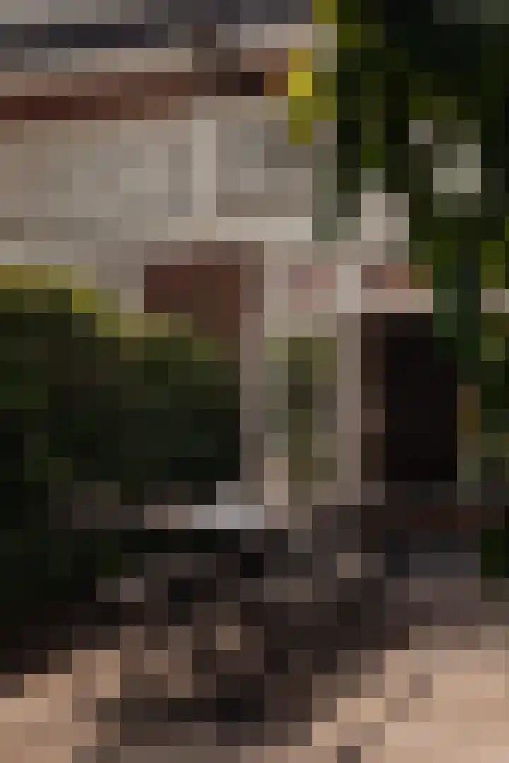 Julianalaan 35 Overveen thumbnail 17