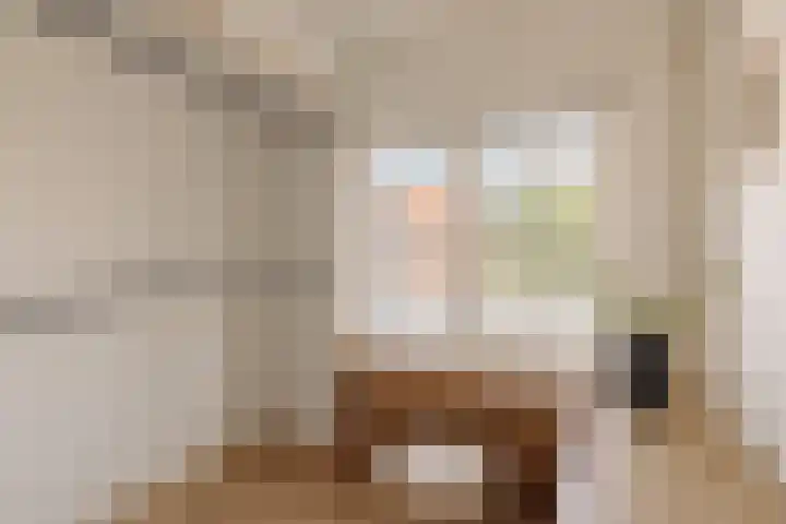 Julianalaan 35 Overveen thumbnail 23