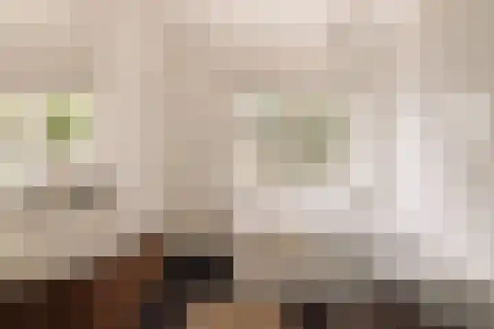 Julianalaan 35 Overveen thumbnail 25