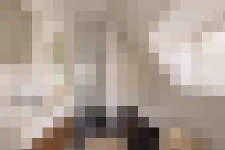 Julianalaan 35 Overveen thumbnail 30