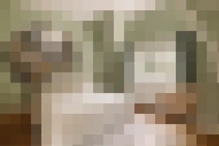 Julianalaan 35 Overveen thumbnail 31
