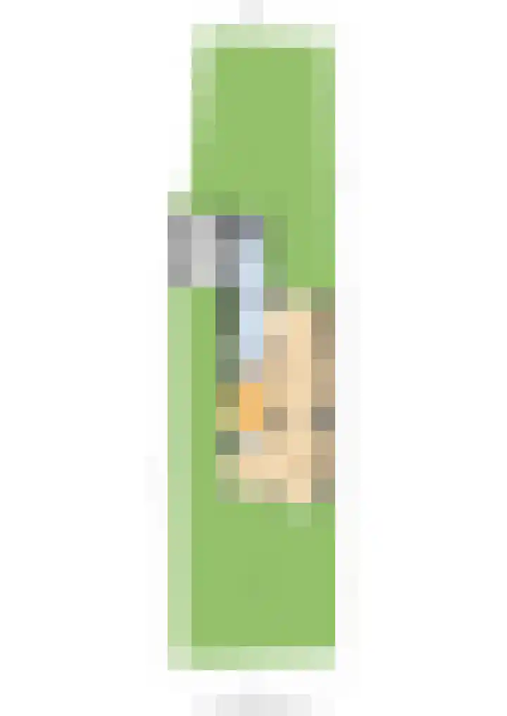 Julianalaan 35 Overveen thumbnail 37