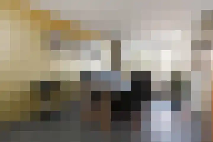 Julianalaan 5 Pijnacker thumbnail 10