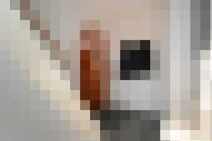 Julianalaan 5 Pijnacker thumbnail 13