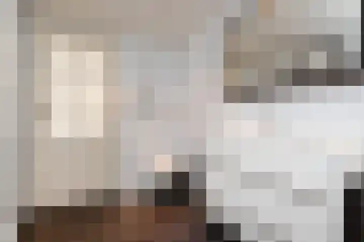 Julianalaan 5 Pijnacker thumbnail 23
