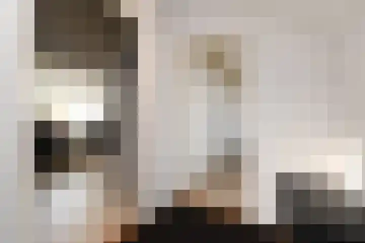 Julianalaan 5 Pijnacker thumbnail 26