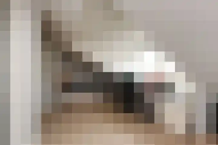 Julianalaan 5 Pijnacker thumbnail 28