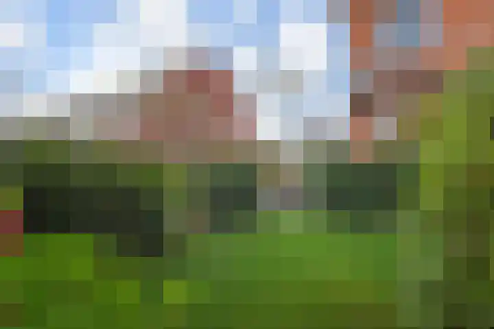 Julianalaan 5 Pijnacker thumbnail 30
