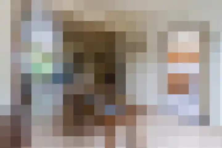 Julianalaan 7 Hapert thumbnail 17