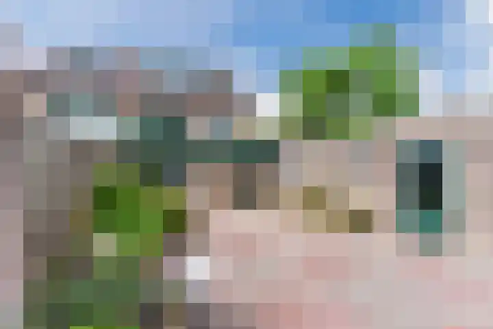 Julianalaan 7 Hapert foto 2