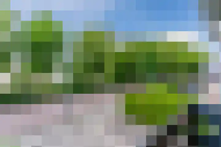 Julianalaan 7 Hapert thumbnail 45