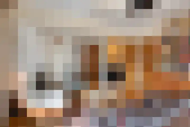 Julianalaan 9 Beek thumbnail 10