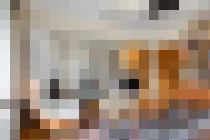 Julianalaan 9 Beek thumbnail 11