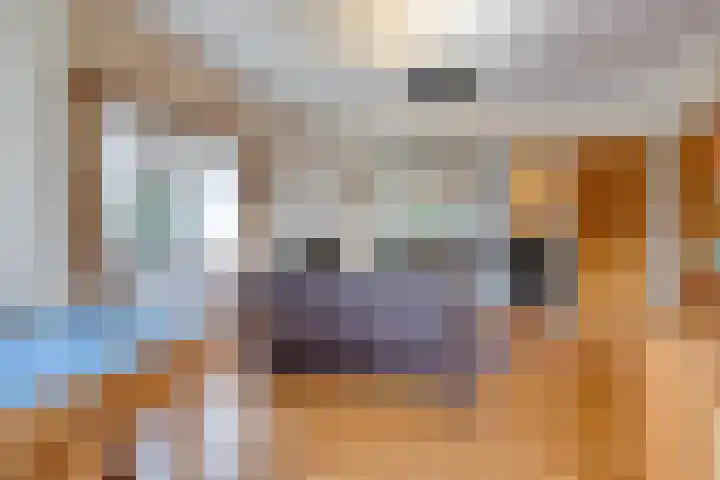 Julianalaan 9 Beek thumbnail 13