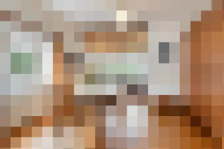 Julianalaan 9 Beek thumbnail 14