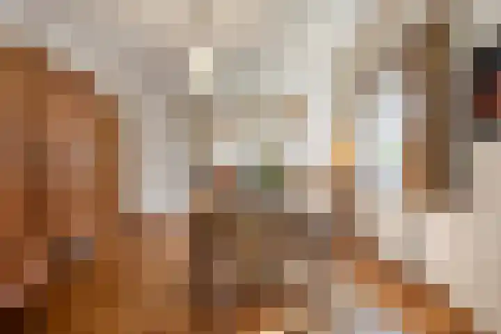 Julianalaan 9 Beek thumbnail 15