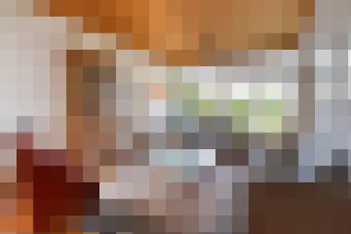 Julianalaan 9 Beek thumbnail 16