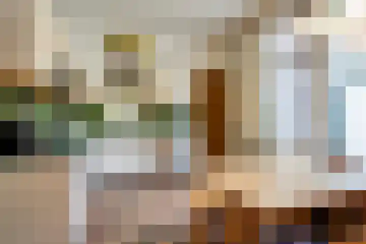 Julianalaan 9 Beek thumbnail 19