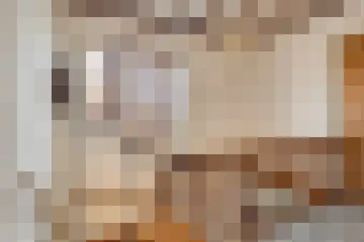 Julianalaan 9 Beek thumbnail 22