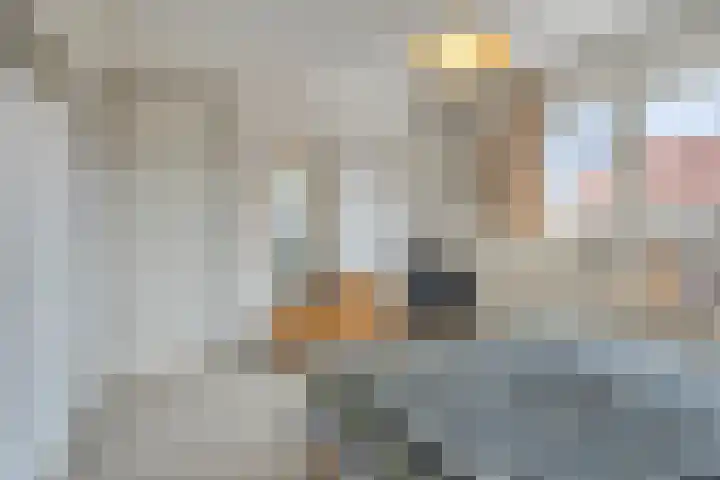 Julianalaan 9 Beek thumbnail 25