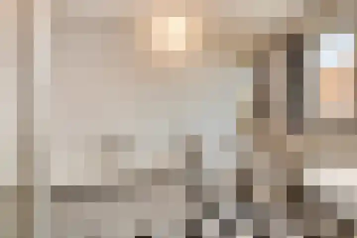 Julianalaan 9 Beek thumbnail 26
