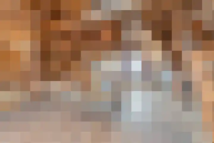 Julianalaan 9 Beek thumbnail 34