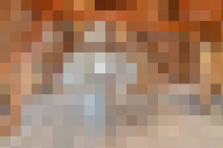 Julianalaan 9 Beek thumbnail 35