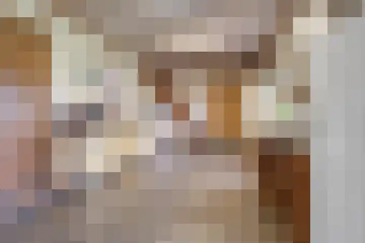 Julianalaan 9 Beek thumbnail 36