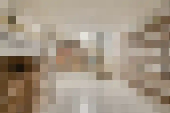 Julianalaan 9 Beek thumbnail 37