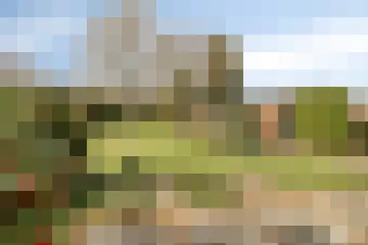 Julianalaan 9 Beek thumbnail 41
